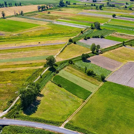 Cozy In With Wifi Polaca