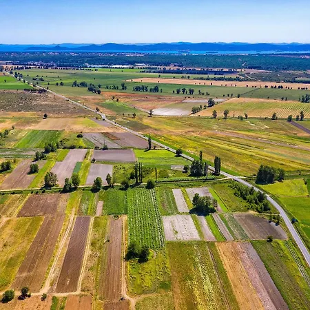 Cozy In With Wifi Polaca